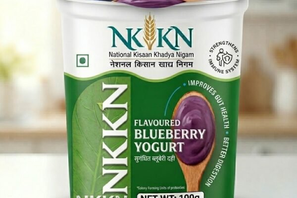 NKKN Brand Blueberry Yogurt